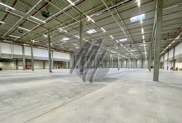 INFOS UNTER: 06171-586000