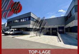 INFOS UNTER: 06171-586000