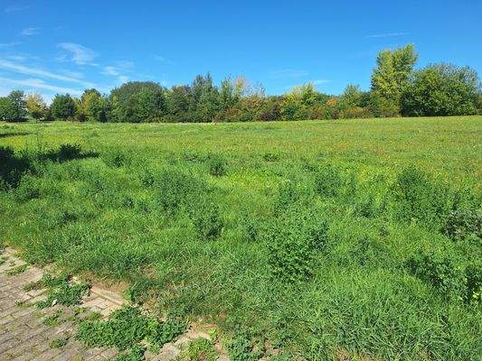 Blick über das Grundstück