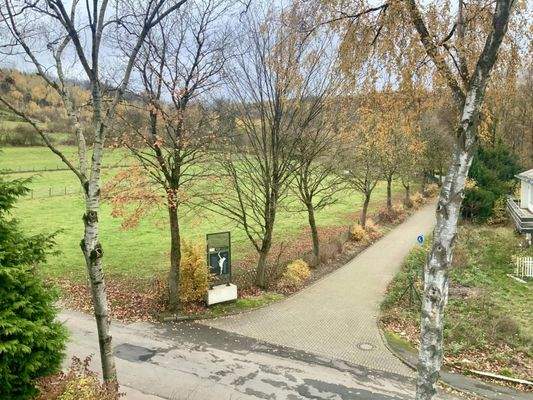 Ausblick vom Balkon 1