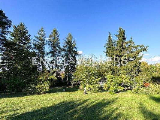 großzügiger Garten mit altem Baumbestand