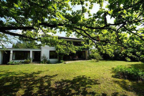 DSC02449 - Kopie.JPG