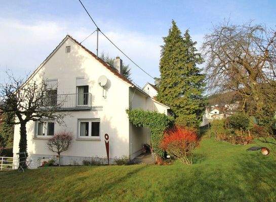 Haus mit sehr großem Garten