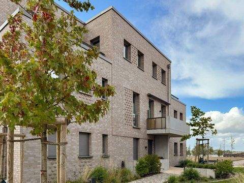 Kappeln Wohnungen, Kappeln Wohnung kaufen