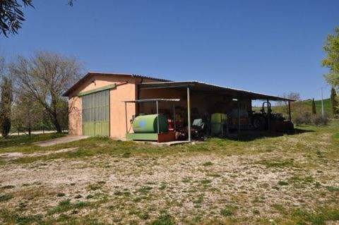 Saturnia Bauernhöfe, Landwirtschaft, Saturnia Forstwirtschaft