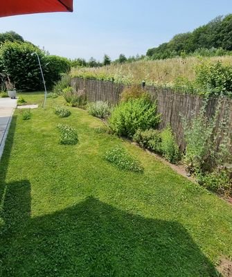 Garten 3.JPG