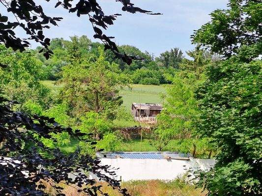 großer ebener Garten
