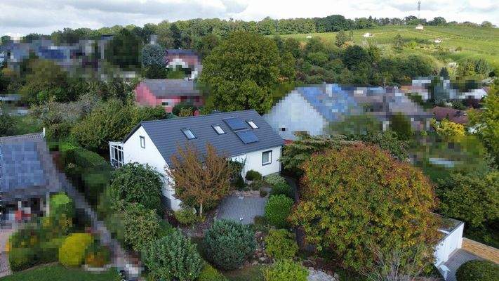 Luftaufnahme Weinberge 