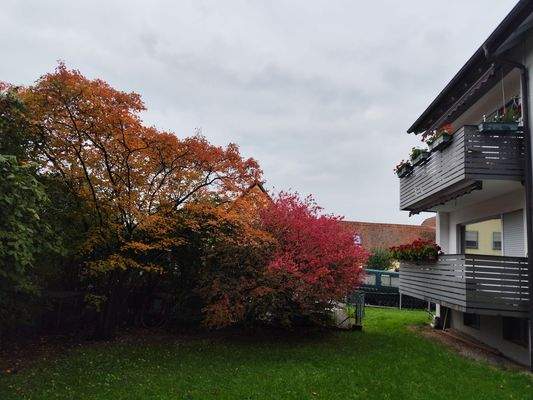 Gartenansicht Herbst..jpg