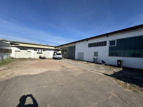 Saarlouis Halle, Saarlouis Hallenfläche