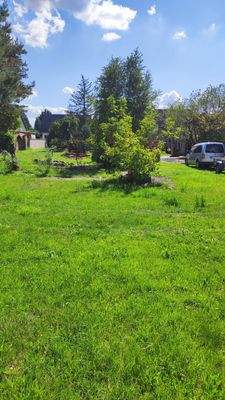 Grundstück von hinten nach vorn schauend