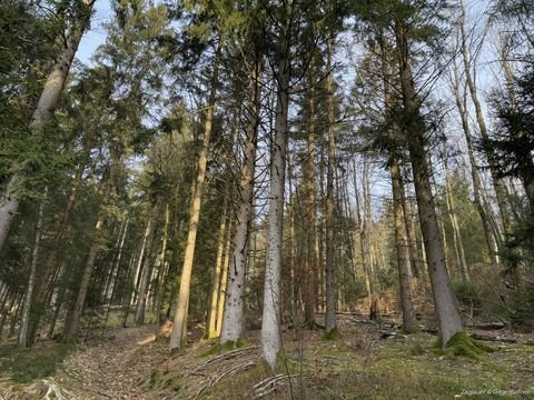 Lalling / Ranzing Bauernhöfe, Landwirtschaft, Lalling / Ranzing Forstwirtschaft