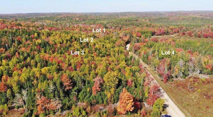 Nova Scotia - West Side Country Harbour - Preiswer