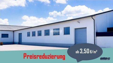 Arnstadt Halle, Arnstadt Hallenfläche