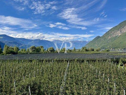 Aussicht Richtung Meran - Texelgruppe