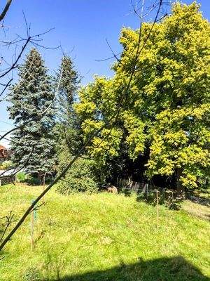 Blick aus dem Schlafzimmer