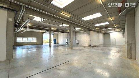 Flughafen Wien Halle, Flughafen Wien Hallenfläche