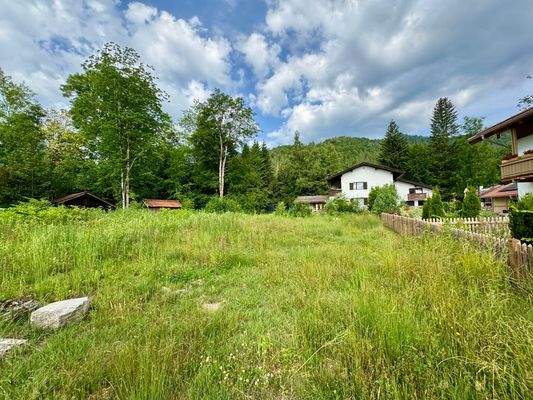 Alpen-Immo_Schliersee_Grundstück 6