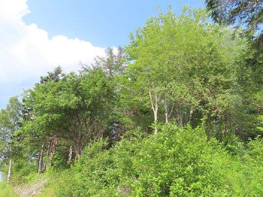 Cape Breton - Wunderschönes Fluss-Ufergrundstück a