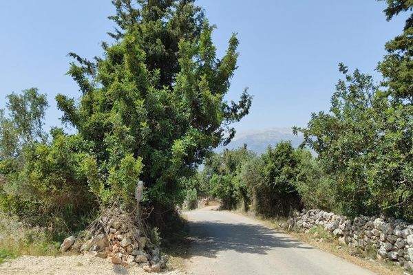 Kreta, Litsarda: Ruhiges Grundstück mit Baugenehmigung und atemberaubender Aussicht auf die Landschaft zu verkaufen