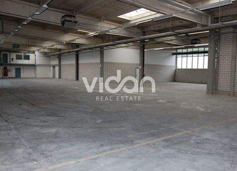 Bergisch Gladbach Halle, Bergisch Gladbach Hallenfläche