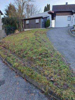 Wiese mit Gartenhaus