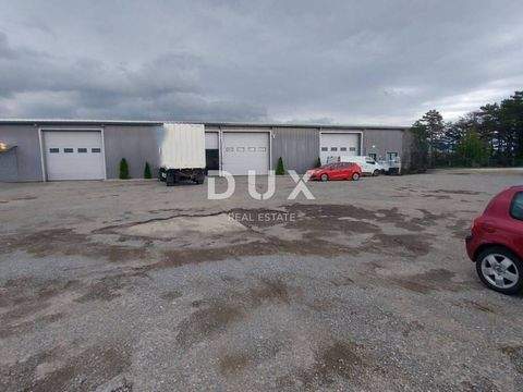 Cavle Ladenlokale, Ladenflächen 