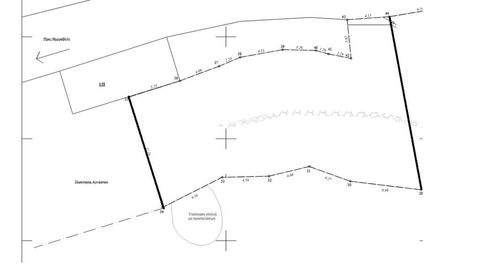 Kykladen Bauernhöfe, Landwirtschaft, Kykladen Forstwirtschaft