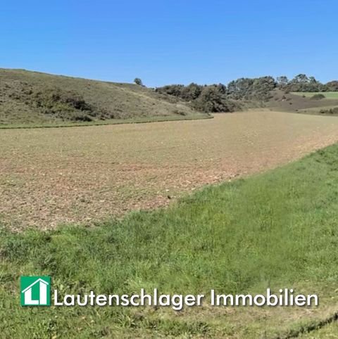 Seubersdorf in der Oberpfalz / Ittelhofen Bauernhöfe, Landwirtschaft, Seubersdorf in der Oberpfalz / Ittelhofen Forstwirtschaft