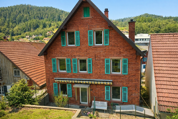 Hausrückseite mit terrassiertem Grundstück am Hang