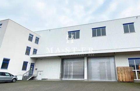 Kerpen Halle, Kerpen Hallenfläche