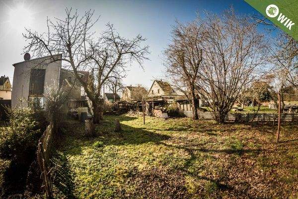 EIGENE FRÜCHTCHEN...