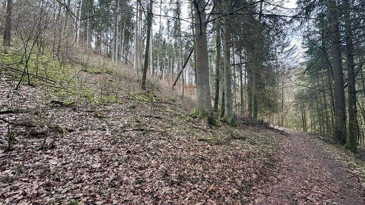 Weg nach Süden - Richtung Quelle