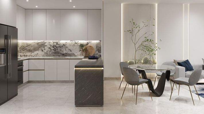 samana DLRC2 APARTMENT (5)