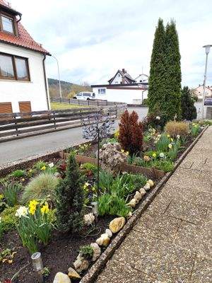 gepflegter Vorgarten