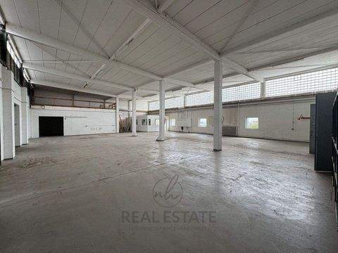 Barsbüttel Halle, Barsbüttel Hallenfläche