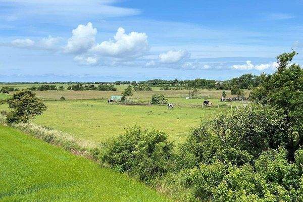 Pferdekoppel zum Haus