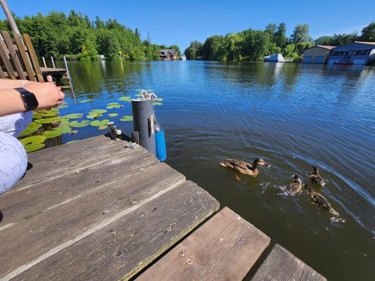 Wasserterrasse