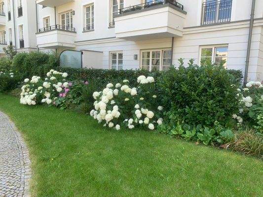 PHOTO-2024-07-21-14-55-14 (7)