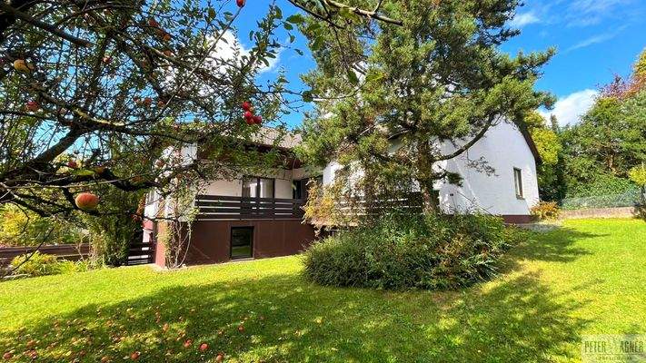 Garten Blick zum Haus