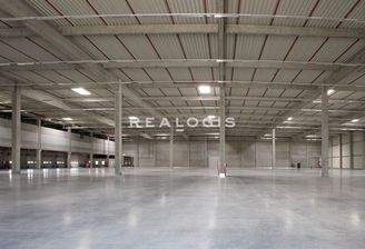 Beispielansicht Hallenfläche