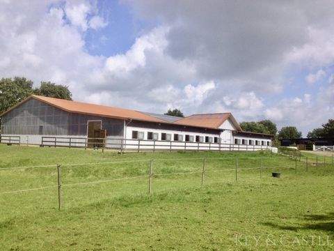 Ostrohe Bauernhöfe, Landwirtschaft, Ostrohe Forstwirtschaft