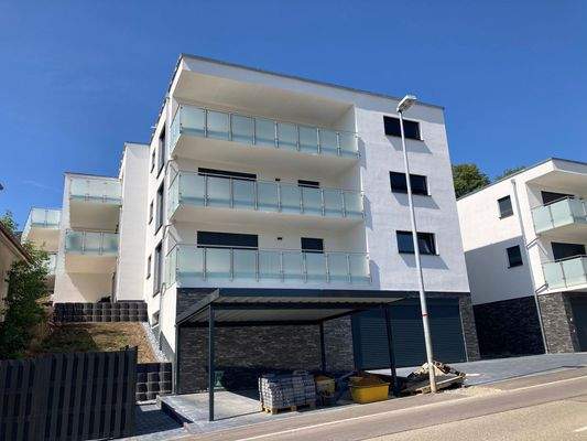 WhatsApp Image 2023-08-12 at 12.39.50