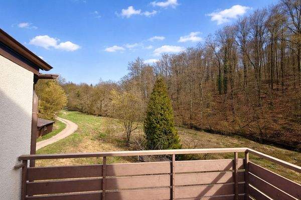 Aussicht Balkon 2. OG