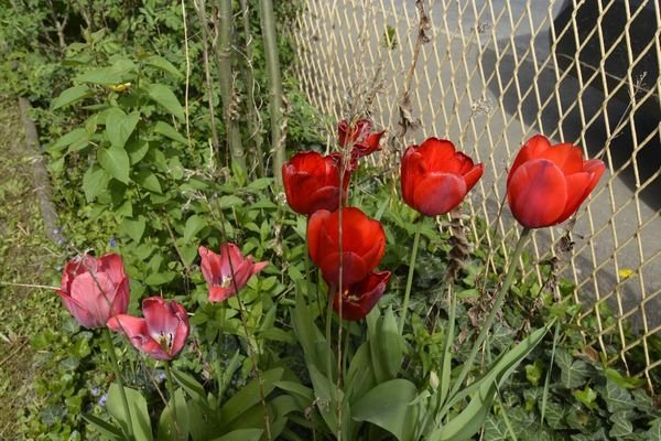 Bild 9