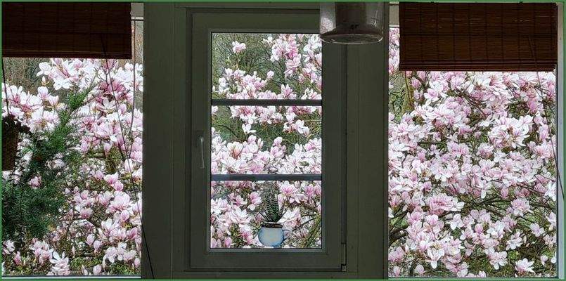 Bald wieder der Blick aus dem Wintergarten