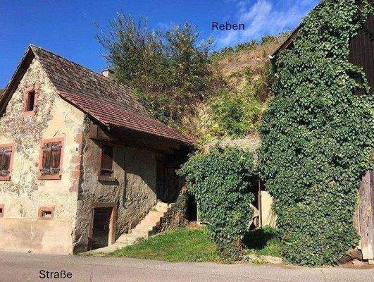 Bildschirmfoto 2025-09-03 um 08.59.19.jpg