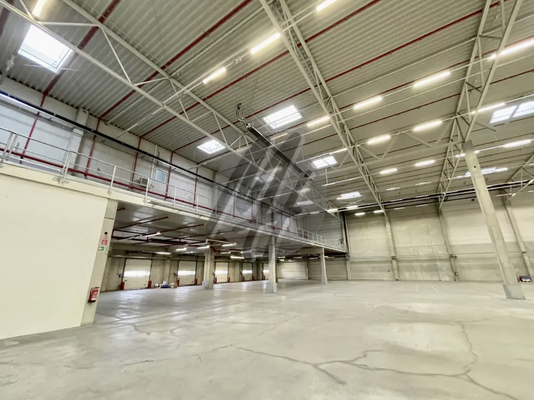 INFOS UNTER: 06171-586000