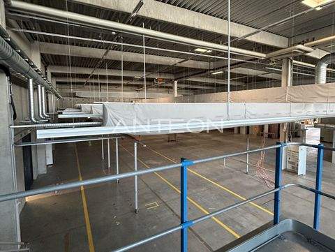 Dortmund Halle, Dortmund Hallenfläche