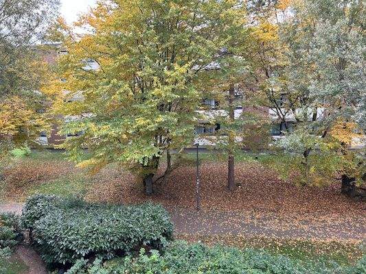 ... Blick ins Grüne